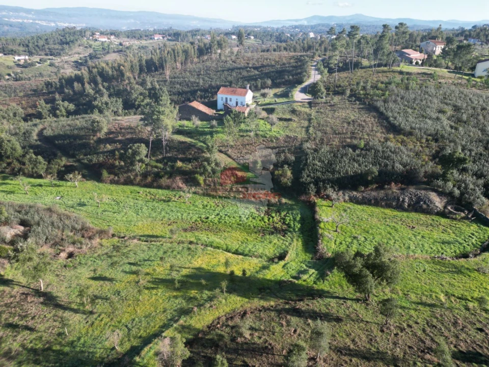 Quinta T3 para Venda em Cumeada e Marmeleiro Foto 54