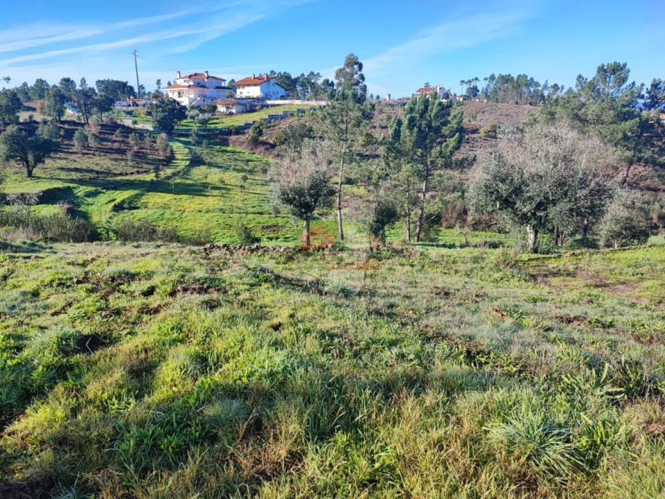 Quinta T3 para Venda em Cumeada e Marmeleiro Foto 43