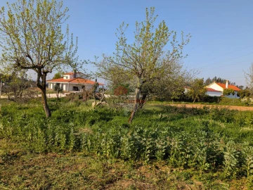 Moradia T5 para Venda em Cernache do Bonjardim, Nesperal e Palhais