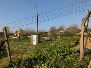 Moradia T5 para Venda em Cernache do Bonjardim, Nesperal e Palhais