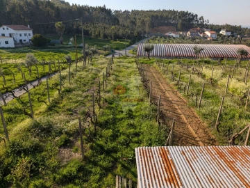 Moradia T5 para Venda em Cernache do Bonjardim, Nesperal e Palhais