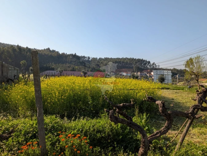 Moradia T5 para Venda em Cernache do Bonjardim, Nesperal e Palhais Foto 50