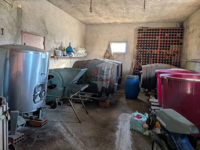 Moradia T5 para Venda em Cernache do Bonjardim, Nesperal e Palhais Foto 42