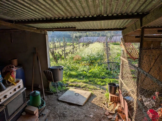 Moradia T5 para Venda em Cernache do Bonjardim, Nesperal e Palhais Foto 40