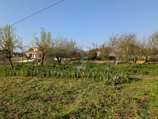 Moradia T5 para Venda em Cernache do Bonjardim, Nesperal e Palhais Foto 51