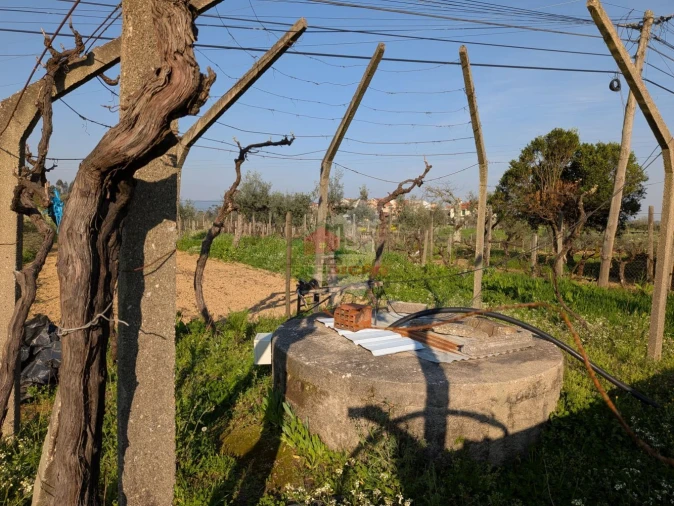 Moradia T5 para Venda em Cernache do Bonjardim, Nesperal e Palhais Foto 48
