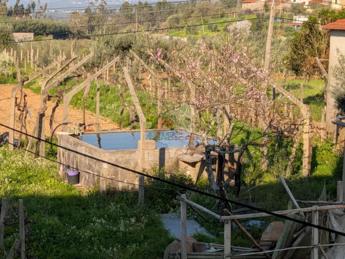 Moradia T5 para Venda em Cernache do Bonjardim, Nesperal e Palhais Foto 55