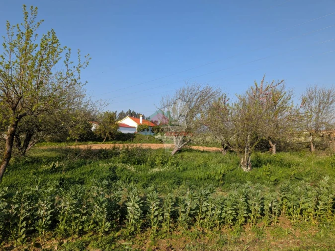 Moradia T5 para Venda em Cernache do Bonjardim, Nesperal e Palhais Foto 52