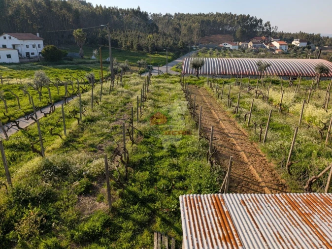 Moradia T5 para Venda em Cernache do Bonjardim, Nesperal e Palhais Foto 54