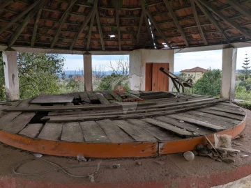 Quinta T10 para Venda em Cernache do Bonjardim, Nesperal e Palhais