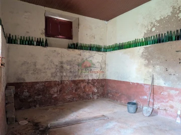 Quinta T10 para Venda em Cernache do Bonjardim, Nesperal e Palhais