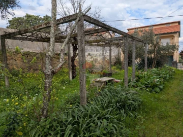 Quinta T10 para Venda em Cernache do Bonjardim, Nesperal e Palhais