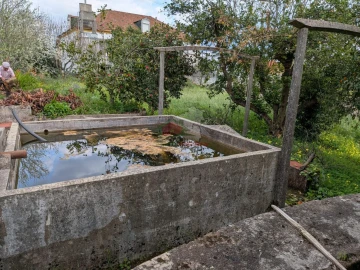 Quinta T10 para Venda em Cernache do Bonjardim, Nesperal e Palhais