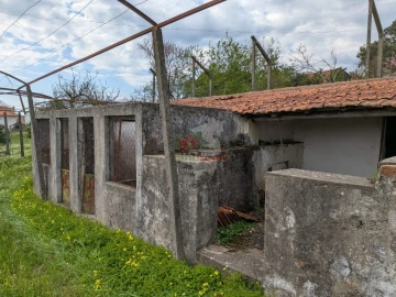 Quinta T10 para Venda em Cernache do Bonjardim, Nesperal e Palhais