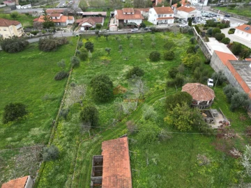 Quinta T10 para Venda em Cernache do Bonjardim, Nesperal e Palhais
