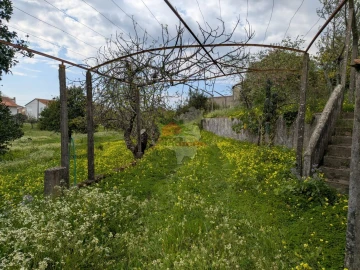 Quinta T10 para Venda em Cernache do Bonjardim, Nesperal e Palhais