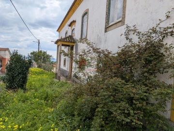 Quinta T10 para Venda em Cernache do Bonjardim, Nesperal e Palhais