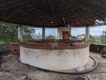 Quinta T10 para Venda em Cernache do Bonjardim, Nesperal e Palhais