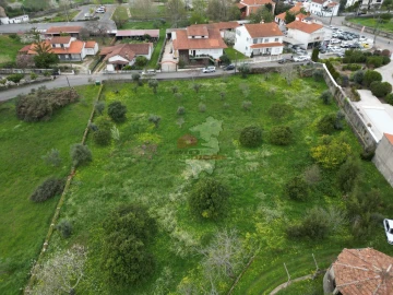 Quinta T10 para Venda em Cernache do Bonjardim, Nesperal e Palhais