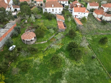 Quinta T10 para Venda em Cernache do Bonjardim, Nesperal e Palhais