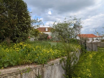 Quinta T10 para Venda em Cernache do Bonjardim, Nesperal e Palhais