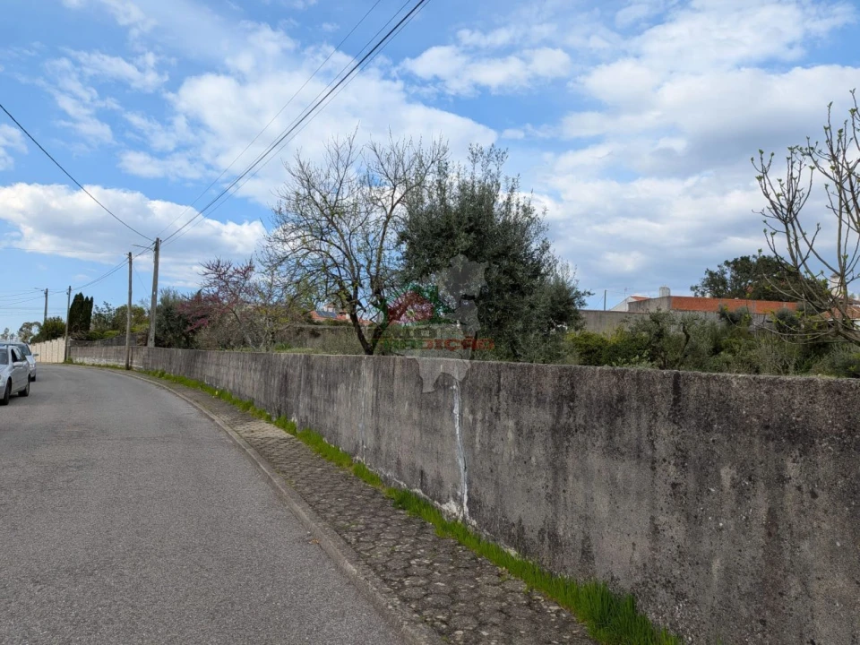 Quinta T10 para Venda em Cernache do Bonjardim, Nesperal e Palhais Foto 8