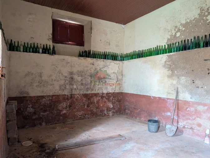 Quinta T10 para Venda em Cernache do Bonjardim, Nesperal e Palhais Foto 16