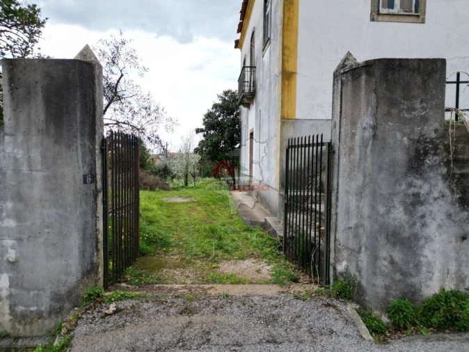 Quinta T10 para Venda em Cernache do Bonjardim, Nesperal e Palhais Foto 6