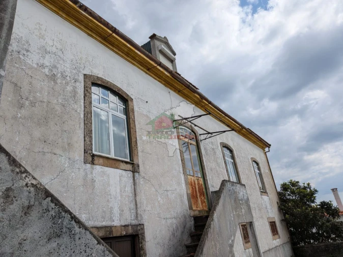 Quinta T10 para Venda em Cernache do Bonjardim, Nesperal e Palhais Foto 46