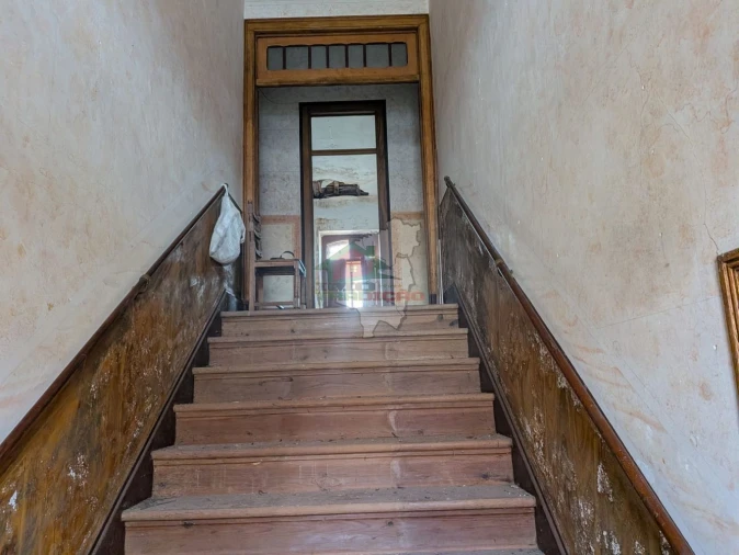 Quinta T10 para Venda em Cernache do Bonjardim, Nesperal e Palhais Foto 41