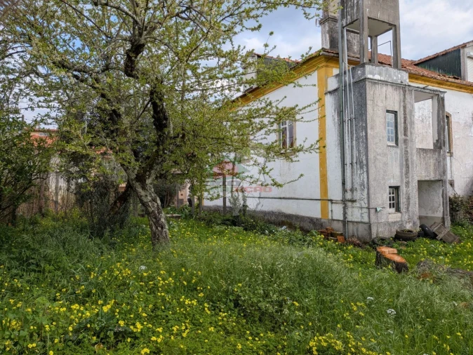 Quinta T10 para Venda em Cernache do Bonjardim, Nesperal e Palhais Foto 54
