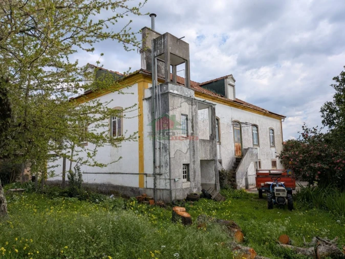 Quinta T10 para Venda em Cernache do Bonjardim, Nesperal e Palhais Foto 48