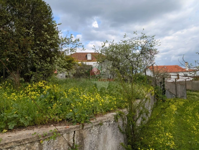 Quinta T10 para Venda em Cernache do Bonjardim, Nesperal e Palhais Foto 55