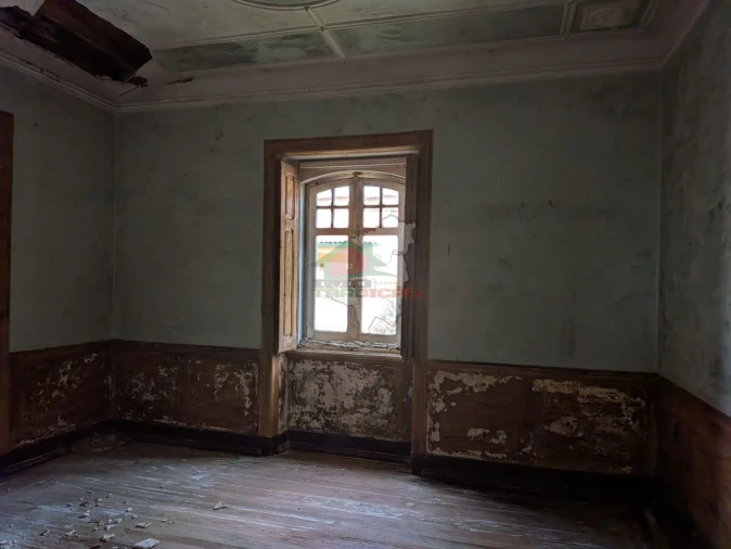 Quinta T10 para Venda em Cernache do Bonjardim, Nesperal e Palhais Foto 30