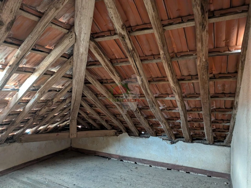 Quinta T10 para Venda em Cernache do Bonjardim, Nesperal e Palhais Foto 22