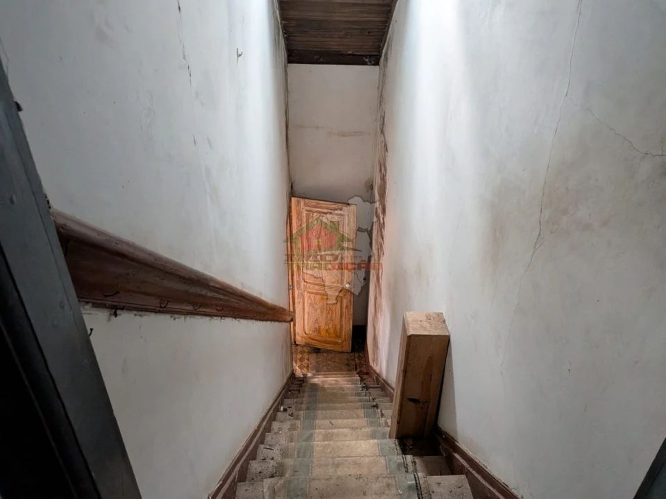 Quinta T10 para Venda em Cernache do Bonjardim, Nesperal e Palhais Foto 32