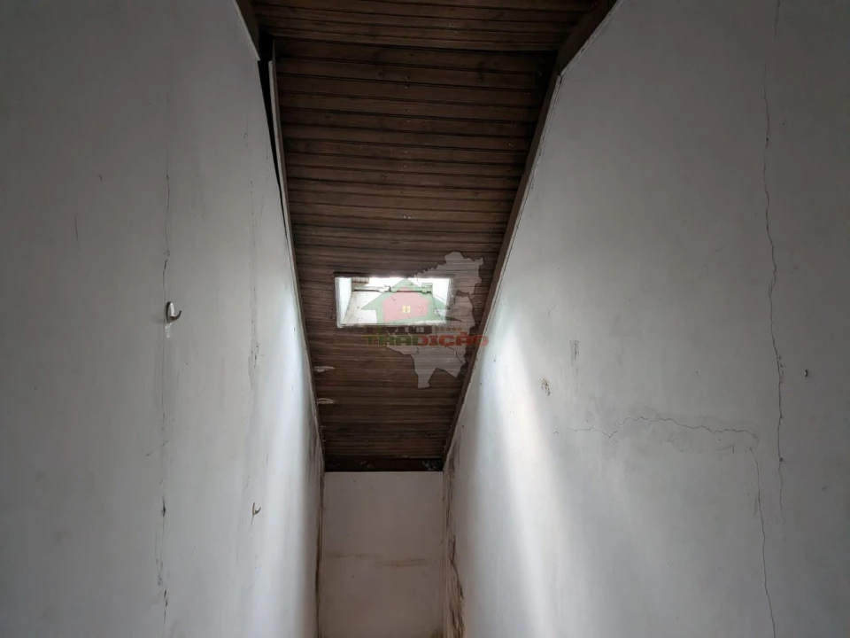 Quinta T10 para Venda em Cernache do Bonjardim, Nesperal e Palhais Foto 20