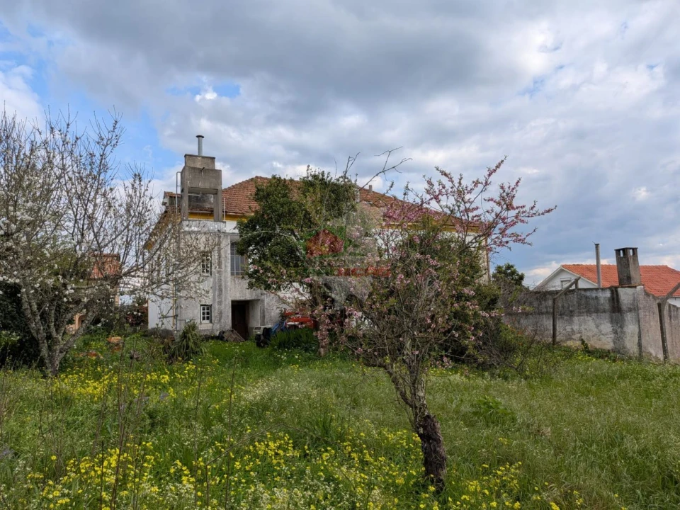 Quinta T10 para Venda em Cernache do Bonjardim, Nesperal e Palhais Foto 49
