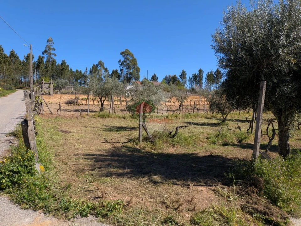 Terreno para Venda em Varzea dos Cavaleiros Foto 5
