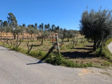 Terreno para Venda em Varzea dos Cavaleiros