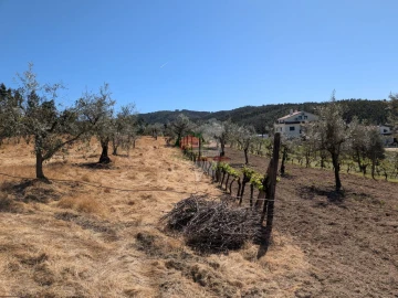 Terreno para Venda em Varzea dos Cavaleiros