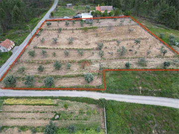 Terreno para Venda em Varzea dos Cavaleiros