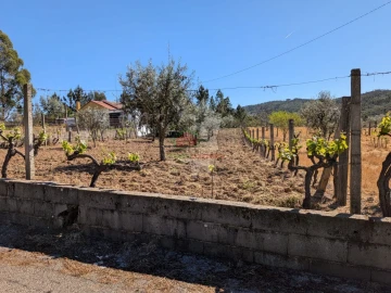 Terreno para Venda em Varzea dos Cavaleiros