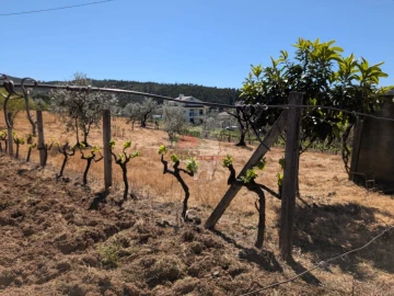 Terreno para Venda em Varzea dos Cavaleiros