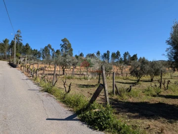 Terreno para Venda em Varzea dos Cavaleiros