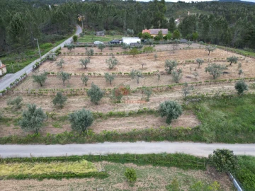 Terreno para Venda em Varzea dos Cavaleiros