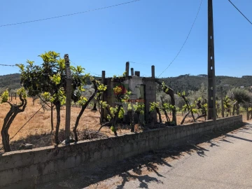 Terreno para Venda em Varzea dos Cavaleiros