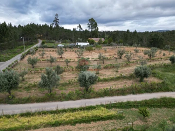 Terreno para Venda em Varzea dos Cavaleiros