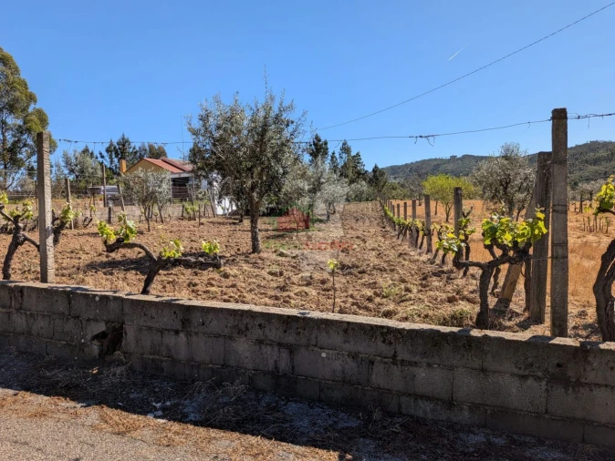 Terreno para Venda em Varzea dos Cavaleiros Foto 9