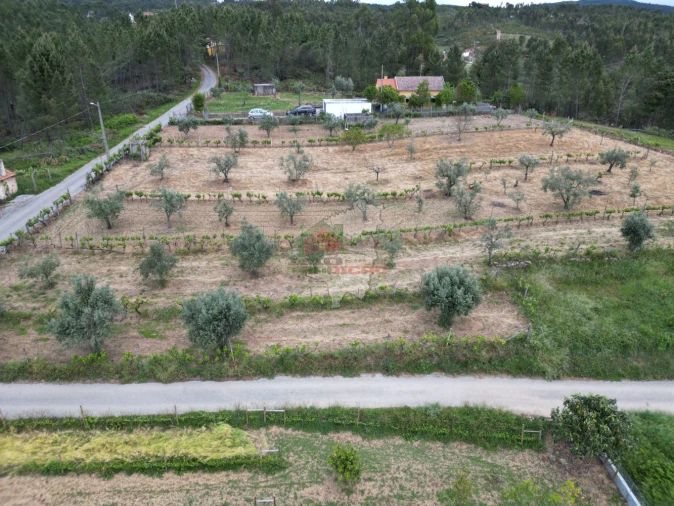 Terreno para Venda em Varzea dos Cavaleiros Foto 12
